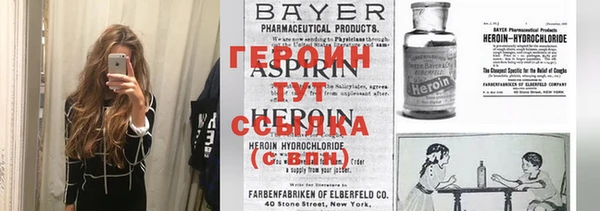 прущие грибы Аркадак