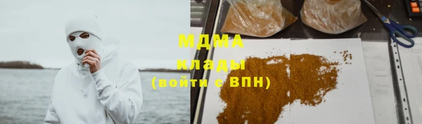 прущие грибы Аркадак