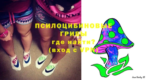 Альфа ПВП Арсеньев