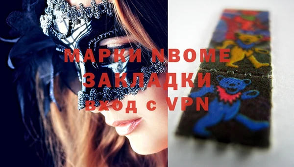 прущие грибы Аркадак
